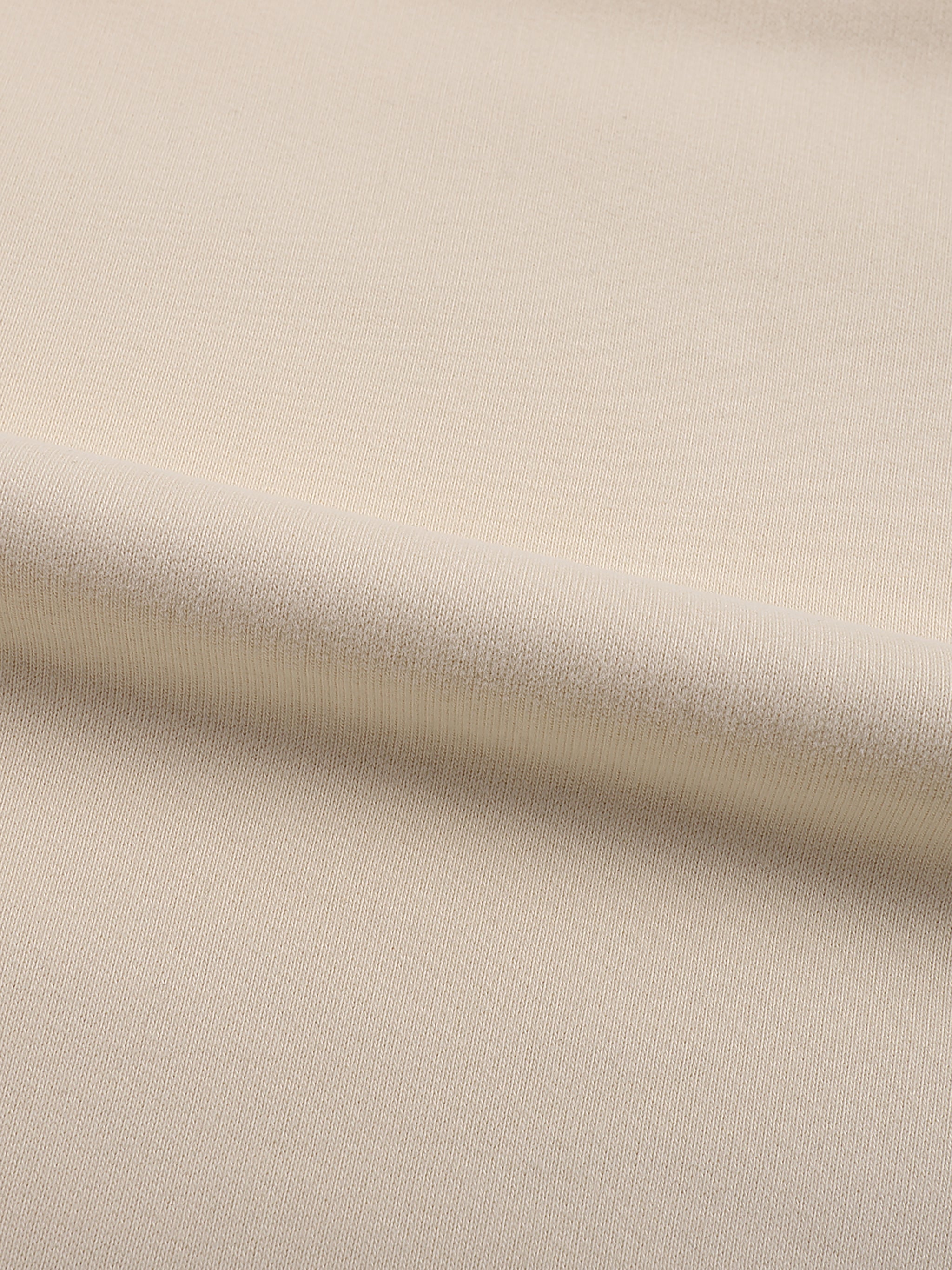 Creamy Albany Fleeced High Neck Hoodie