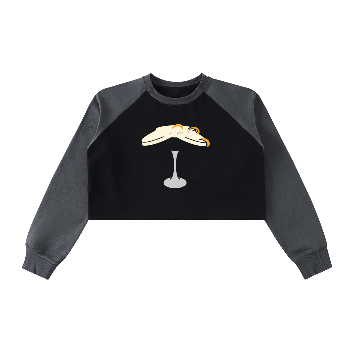 Espressotripi Raw-Hem Color-Block Raglan Crop Sweatshirt