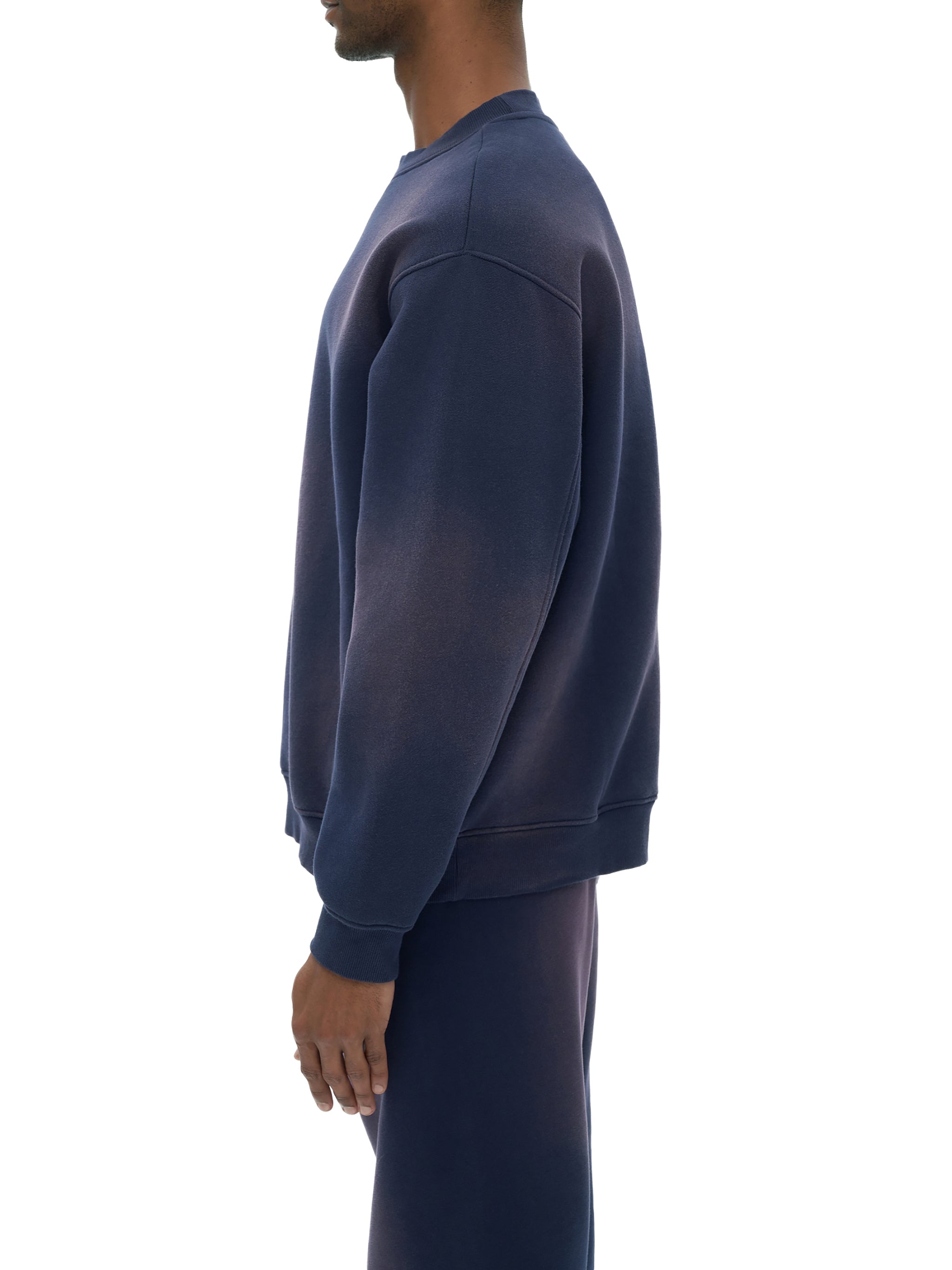 Bumbles Stained Glass Logo Sunfade Fleeced Sweatshirt