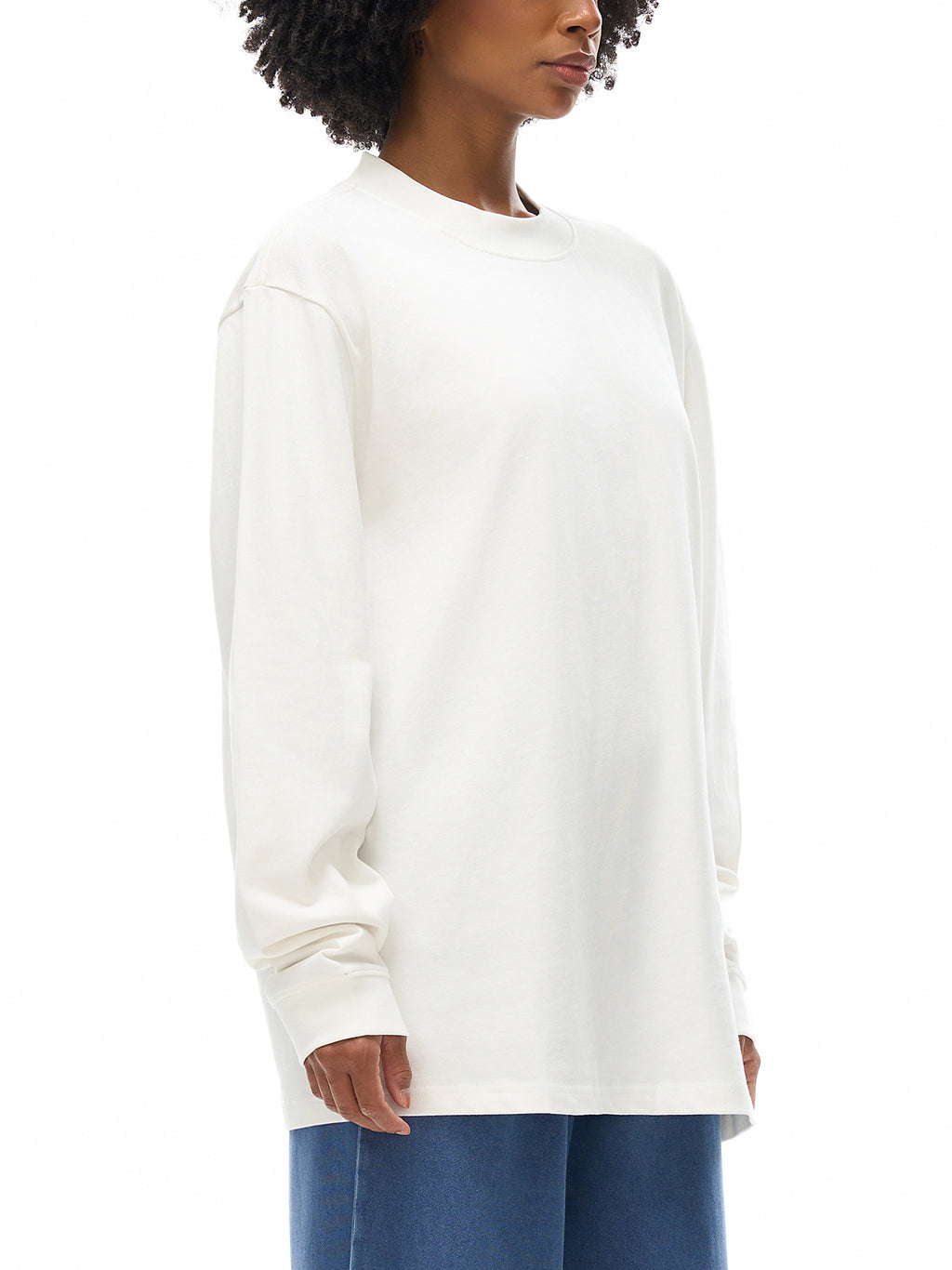 AHS Stained Glass- Blue Leaf Back- Non-Shrink Mock Neck Sweatshirt