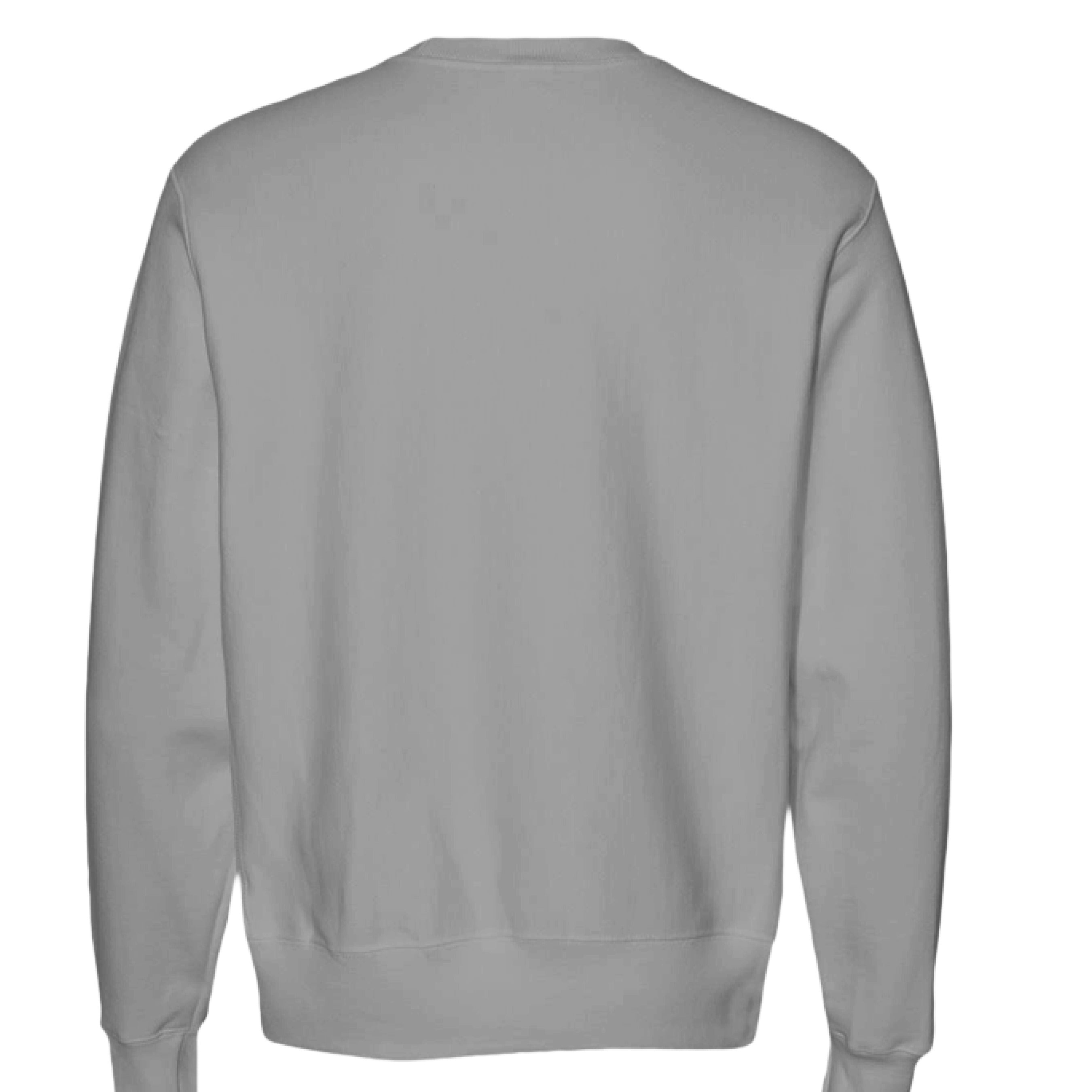 SILVER GRAY - BACK